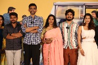 Narayana And Co Movie Teaser Launch